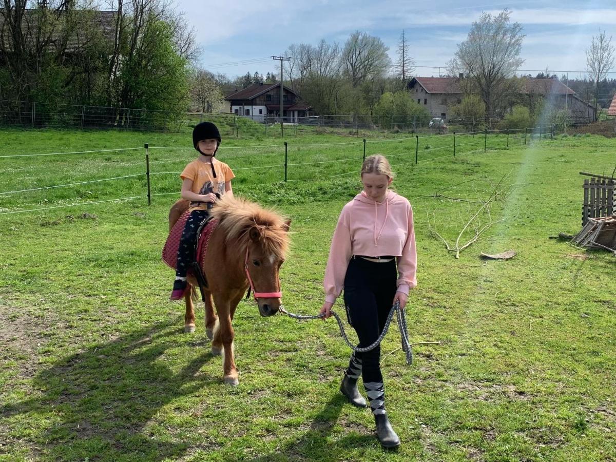Ferienwohnung Am Ponyhof Altötting エクステリア 写真